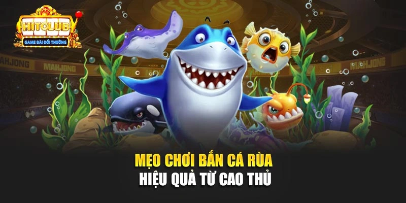 Mẹo chơi bắn cá Rùa hiệu quả từ cao thủ 